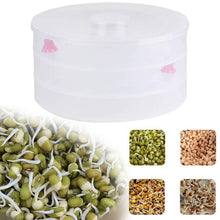Load image into Gallery viewer, 093 Plastic 3 Compartment Sprout Maker, White