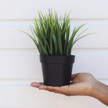 Load image into Gallery viewer, 209 Artificial Plant with Plastic Pot