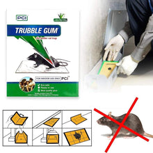 Load image into Gallery viewer, 247 PCI Cardboard Troublegum Small Size Mouse Trap-1pc
